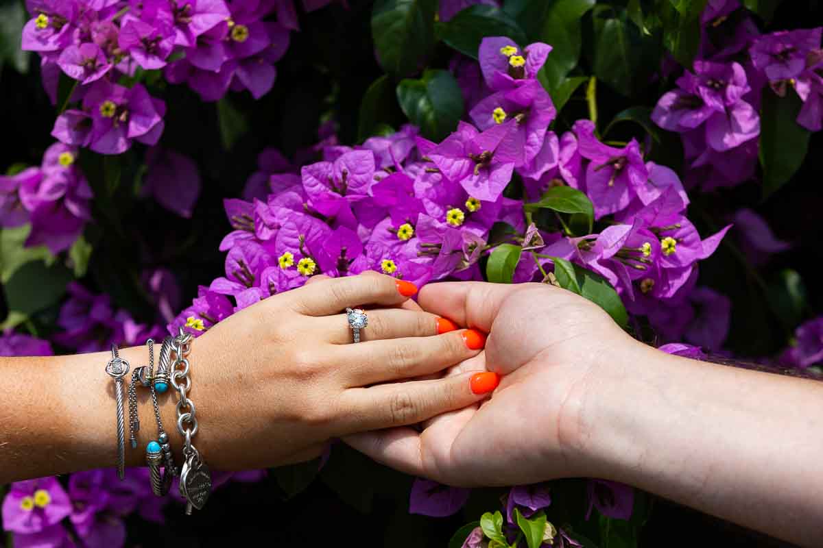 Picture of the engagement ring photographed over bright and colorful fuchsia flowers 
