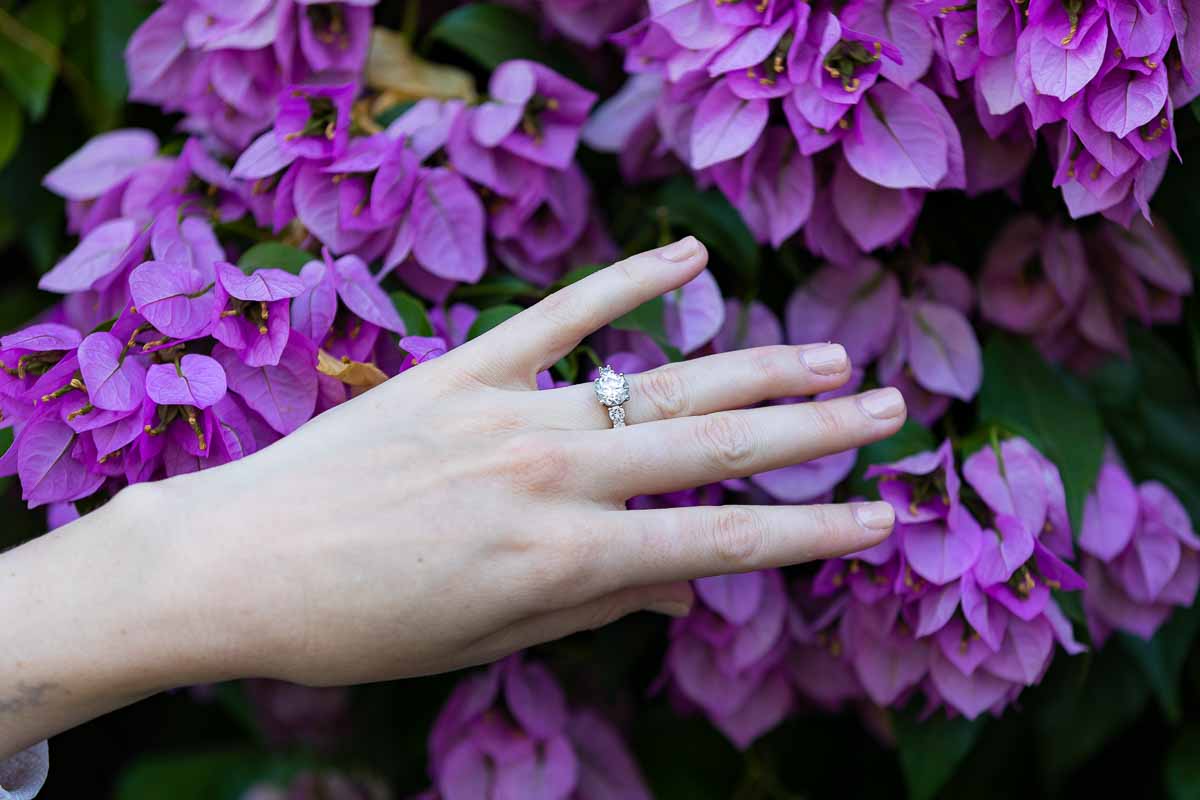 Picture of the engagement ring photographed over fuchsia bougainvillea flowers 