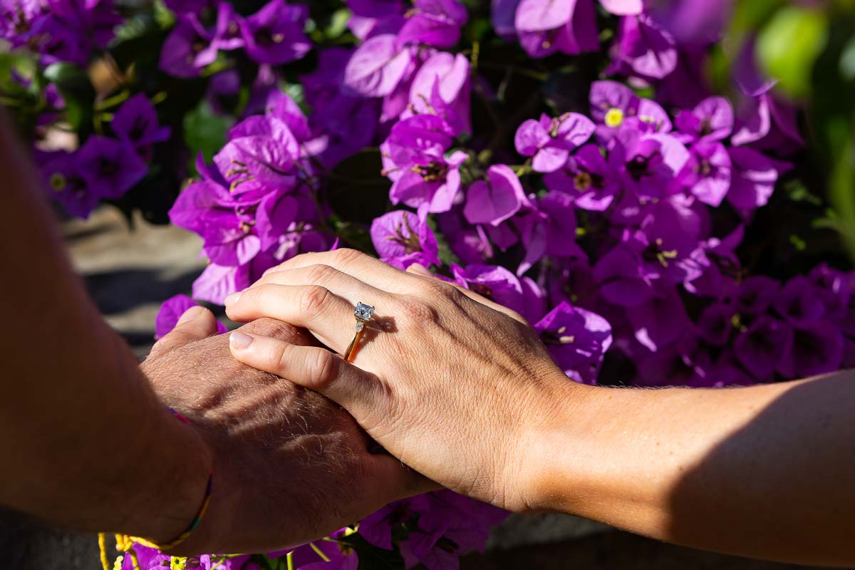 Engagement ring pictures taken over bright fuchsia flowers from a Bougainville plant 