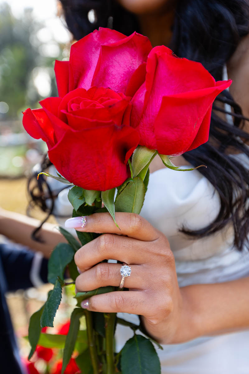 Engagement ring close up on hand while holding red roses 