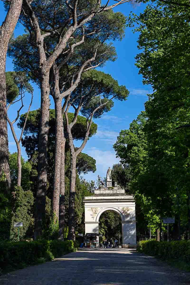 One of the entrances to the Villa Borghese park standing underneath tall Mediterranean pine trees