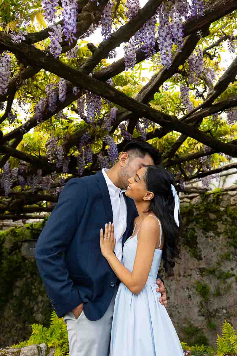 Engagement photos under wisteria purple flowers 