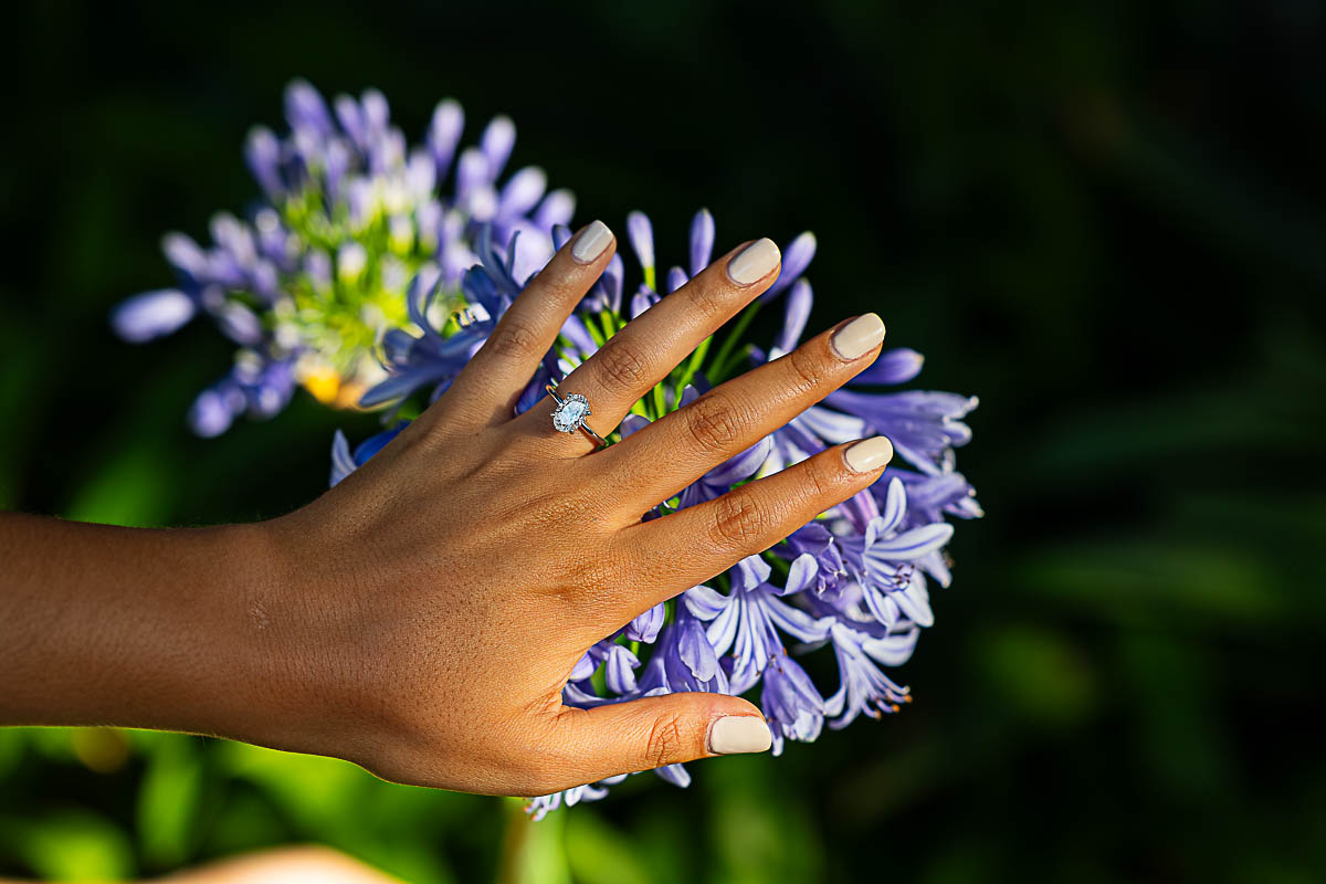 Elegant close up of the engagement ring taken over a purple flower 