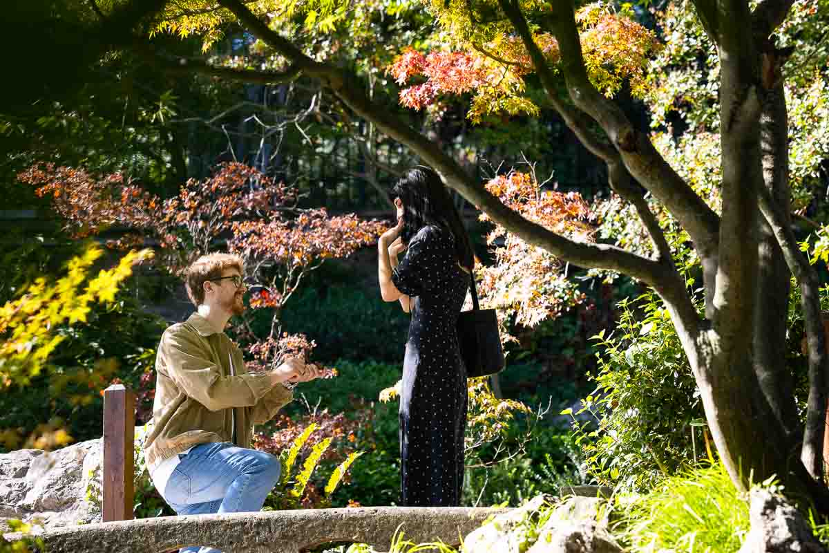 Rome botanical park proposal knee down moment in which he asks for her hand in marriage photographed in a photoshoot 
