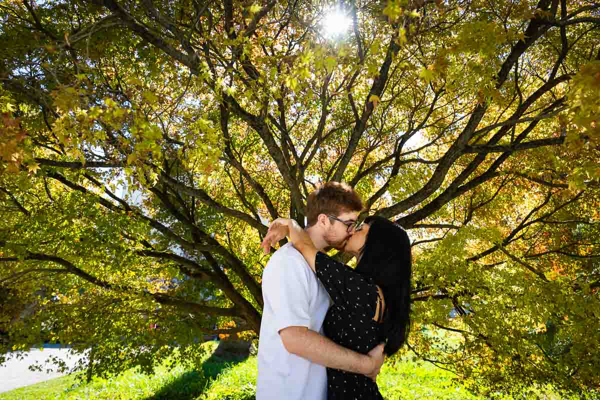 Kissing in love before a nice tree under beautiful sunlight photographer session