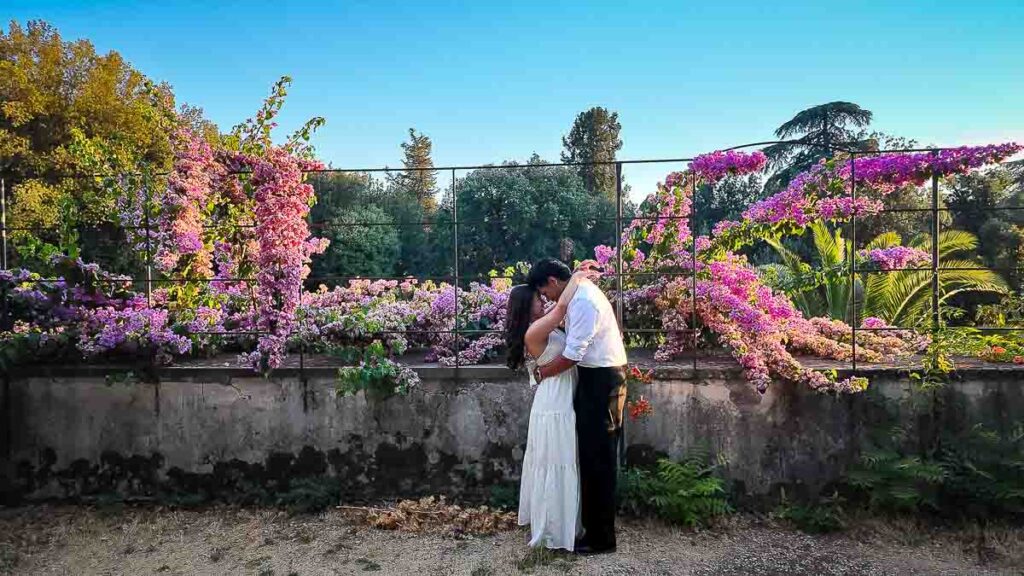 Wide angle photos among beautiful local plants and flowers during a photo session in the summertime
