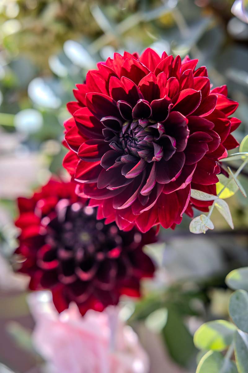 Vibrant red floral ornaments chosen as the signature wedding decorations.